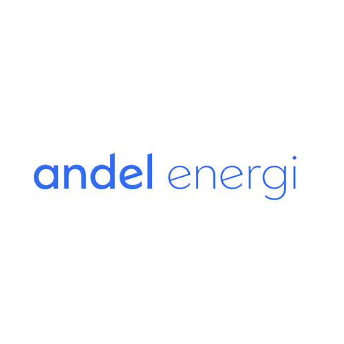 Andel energi