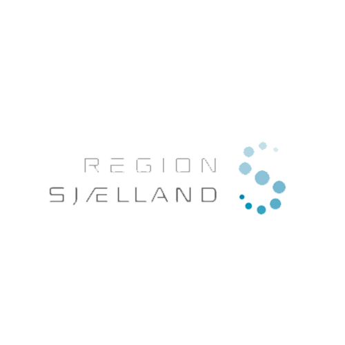 Region sjælland